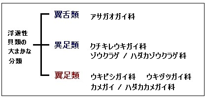 ͗ނł